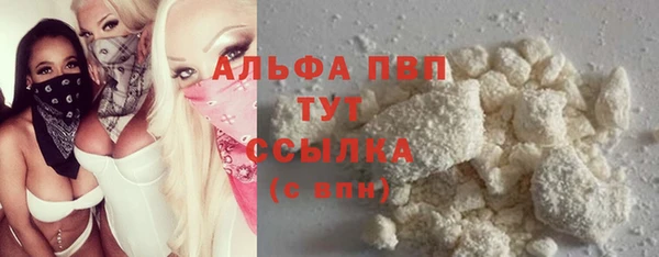 хмурый Вяземский