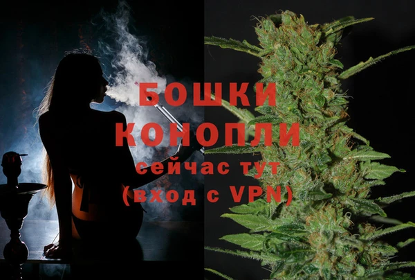 хмурый Вяземский