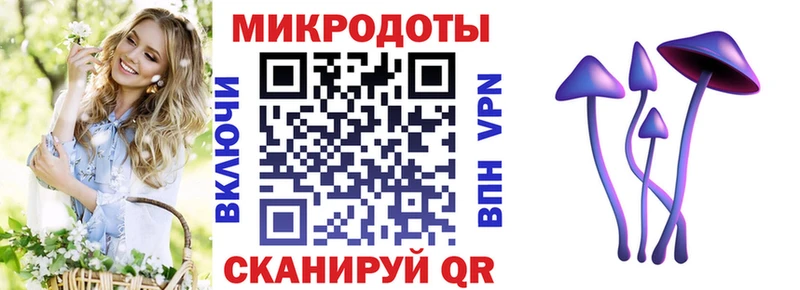 Псилоцибиновые грибы GOLDEN TEACHER  Купить закладки  Бологое 